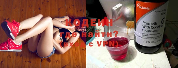 дмт Арсеньев