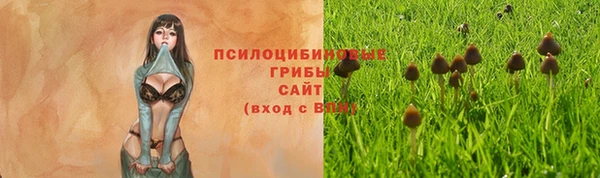 скорость Аркадак